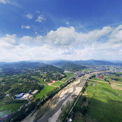 张榜艾草基地