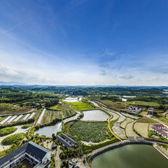 凤凰新村