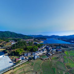 美丽乡村-数字乡村-飞跃村